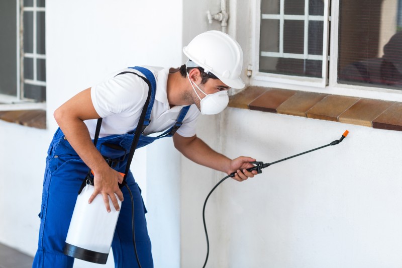 Efficient Approaches for Maintaining a Pest-Free Residence: Residential Pest Control in Dover, OH