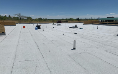 Exploring Excellence: What Distinguishes Roofing Companies in Denver, CO