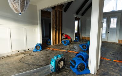 Expert Tips for Water Damage Ceiling Repair In Peachtree City, GA