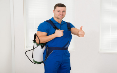 Top Reasons to Choose an Exterminator in Newnan GA for Your Home